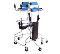 Walker with Seat Baby, Walker with Wheels, Adjustable for Toddlers Kids Teens with Special Needs, Mobility Support Standing Frame, Standing Frame with Cushion (8-A)