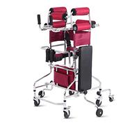 Walking Aid Standing Walking aids, Stroke Patient Training, Elderly and Disabled Assisted Walking Standing Frame,A2