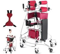Walking aid， Walker for Seniors, Hemiplegia Rehabilitation Standing Frame Adult Walking Aid for The Disabled(Women's)