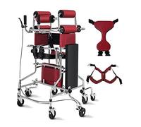 Walking Aid Wheeled Walkers and Walker Stroke Patient Training, Elderly and Disabled Assisted Walking Standing Frame,C1