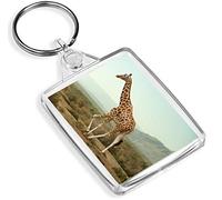 Walking Giraffe Keyring - IP02 - Wild Animals Jungle 16585