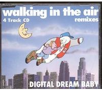 Walking in the air - Walking In The Air Remixes