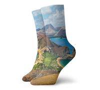 Walking Socks Galapagos Bartolome Island Pacific Latin America Scenery Volcanic Mountains Trainer Socks Bright Athletic Sock Soft Compression Sock For Baseball Basketball Yoga 40 Cm