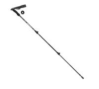 Walking Sticks Pair by Highlander Outdoor