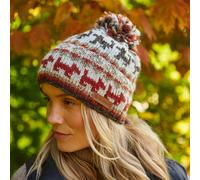 Walking the Dog Bobble Beanie