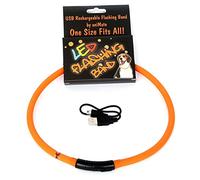 Animate Walking Mate LED Flashing Loop - Orange - 70cm