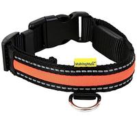 Animate WalkingMate LED High Visibility Adjustable Dog Collar Orange Small