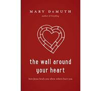 Wall Around Your Heart: How Jesus Heals You When Others Hurt You