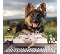 Wall Art 3D Non-Woven Wallpaper W400 x H280 cm German Shepherd On The Grass Photo Mural Stickers, Green Wallpaper Mural Poster Decoration for Bedroom Living Corridor (Not Self Adhesive)