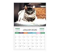 Wall Art Calendar Planner Monthly Illustrated Wall Calendar Cute Scene Illustration Paper Planner for Kids Teachers Students Decorative Monthly for Classroom Bedroom