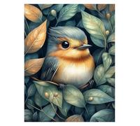 Wall Art Canvas Prints Cute Baby Animals In Leaves Posters Prints Vibrant Baby Owl Hedgehog Frog Nature Canvas Painting Wall Picture Home Bedroom Decor(N,30x40cm)