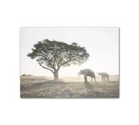 Wall Art Canvas Prints Green African Savannah Wild Animal Modern Wall Art Print Canvas Painting Posters For Living Room Home Decor(F,40x60cm)
