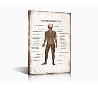 Wall Art for Living Room Human Body Central Brain Spinal Cord and Peripheral Nervous System Picture Canvas Prints Retro Realistic Chart Artwork Home Wall Decor Ready to Hang Posters(24"Wx36"H)