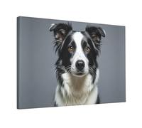 Wall Art for Living Room Modern Canvas Poster Prints Border Collie Aesthetic Wall Decor for Bedroom Bathroom Canvas Print Painting Picture Home Decor Framed Artwork 12"x 18"