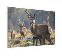 Wall Art Modern Abstract Poster Print Artwork for Living Room Canvas Paintings Nature wild Animal Deers Wall Pictures Canvas Prints Aesthetic Pictures for Bedroom Bathroom Decoration Framed 12"x18"