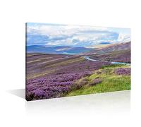 Wall Art Native Purple Heather Wall Decoration for Living Room Cairngorms National Park in Northern Scotland Wall Paintings 1 Piece Home Decor Framed ans Stretched Ready to Hang (12''Wx 18''H)
