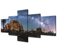 Wall Art Painting 5 Panels The Milky Way Arch above Joshua Tree Print on Canvas for Home Wall Decoration Frame Ready to Hang 50"Wx24"H