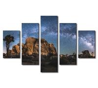 Wall Art Painting 5 Panels The Milky Way Arch above Joshua Tree Print on Canvas for Home Wall Decoration Frame Ready to Hang 60"W x 40"H