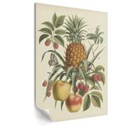 Wall Art Poster Print for Bedroom Wall Decor 42x59,5 cm Botanical fruits