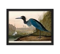Wall Art Print Audubon Birds America Blue Crane Large Framed Wall Décor Art Artery8 Light Oak W18 inch x H24 inch