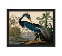 Wall Art Print Audubon Birds Louisiana Heron Painting Large Framed Wall Décor Art Artery8 Light Oak W18 inch x H24 inch