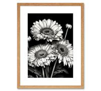 Wall Art Print Black and White Gerbera Flowers Dark Artwork Framed 9X7 Inch Artery8 Beige W7 inch x H9 inch