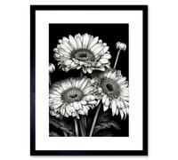 Wall Art Print Black and White Gerbera Flowers Dark Artwork Framed 9X7 Inch Artery8 Black W7 inch x H9 inch