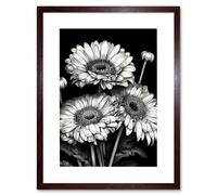 Wall Art Print Black and White Gerbera Flowers Dark Artwork Framed 9X7 Inch Artery8 Brown W7 inch x H9 inch