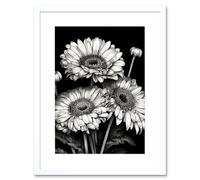 Wall Art Print Black and White Gerbera Flowers Dark Artwork Framed 9X7 Inch Artery8 White W7 inch x H9 inch