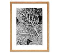 Wall Art Print Black White Photography Leaves Close Up Framed Artery8 Beige W7 inch x H9 inch