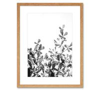 Wall Art Print Black White Photography Plant Framed Artery8 Beige W7 inch x H9 inch