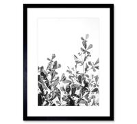 Wall Art Print Black White Photography Plant Framed Artery8 Black W7 inch x H9 inch