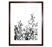 Wall Art Print Black White Photography Plant Framed Artery8 Brown W7 inch x H9 inch