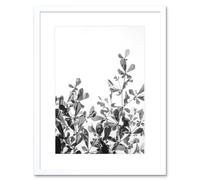 Wall Art Print Black White Photography Plant Framed Artery8 White W7 inch x H9 inch