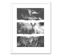 Wall Art Print Black White Photography Triptych Rabbit Hare Framed Artery8 White W7 inch x H9 inch