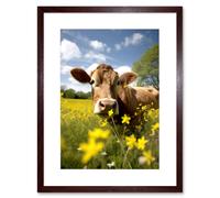 Wall Art Print Buttercup the Cow Photo Meadow Flowers Photograph Countryside Animal Spring Field Artwork Framed 9X7 Inch Artery8 Brown W7 inch x H9 inch