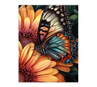 Wall Art Print Butterfly On Daisy Flowers Pencil Spring Bloom With Insect Macro Close-Up Wing Pattern Vibrant Nature Colourful Bright Floral Modern Ar Artery8 Orange W24 inch x H32 inch