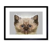 Wall Art Print Cat Persian Kitten Art Framed 9x7 inch Artery8 Black W7 inch x H9 inch
