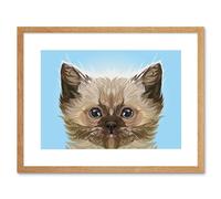 Wall Art Print Cat Persian Kitten Blue Art Framed 9x7 inch Artery8 Beige W7 inch x H9 inch