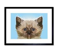 Wall Art Print Cat Persian Kitten Blue Art Framed 9x7 inch Artery8 Black W7 inch x H9 inch