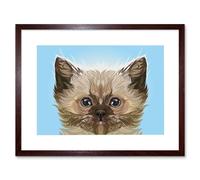 Wall Art Print Cat Persian Kitten Blue Art Framed 9x7 inch Artery8 Brown W7 inch x H9 inch