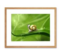 Wall Art Print Cute Snail Rain Art Black Framed 9x7 inch Artery8 Beige W7 inch x H9 inch