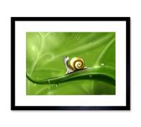 Wall Art Print Cute Snail Rain Art Black Framed 9x7 inch Artery8 Black W7 inch x H9 inch