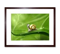 Wall Art Print Cute Snail Rain Art Black Framed 9x7 inch Artery8 Brown W7 inch x H9 inch