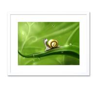 Wall Art Print Cute Snail Rain Art Black Framed 9x7 inch Artery8 White W7 inch x H9 inch