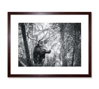 Wall Art Print Deer Head Antlers Forest Framed Artery8 Brown W7 inch x H9 inch