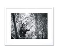 Wall Art Print Deer Head Antlers Forest Framed Artery8 White W7 inch x H9 inch