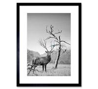 Wall Art Print Deer with Blue Bird Framed Artery8 Black W7 inch x H9 inch
