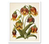 Wall Art Print Ernst Haeckel Inspired Fritillaria Flower Plant Study Modern Watercolour Painting Art Framed Artery8 White W12 inch x H16 inch