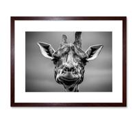 Wall Art Print Furlan Giraffe Head Face Framed Artery8 Brown W7 inch x H9 inch